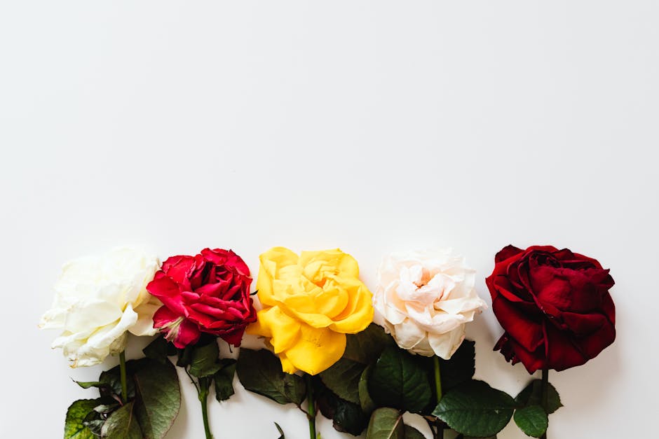 Close-up of various fresh cut flowers in a flower shop, highlighting the quality and variety of blooms